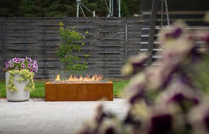 Cheminée à gaz pour l