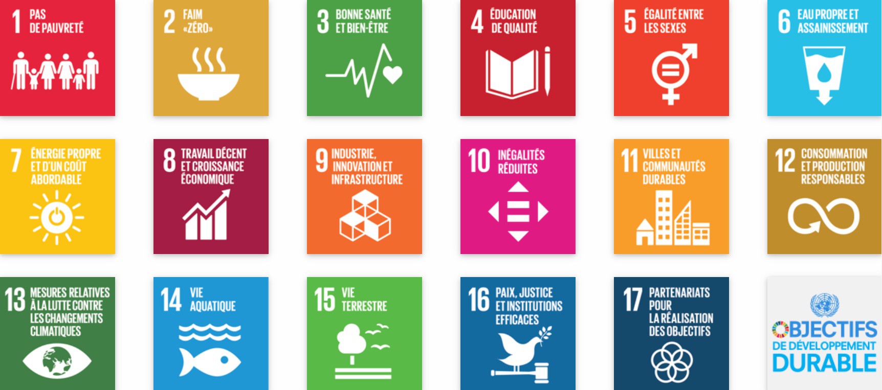 Les 17 objectifs de l'ONU