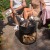 Barbecue avec rangement bois