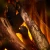 New Forest 870 - Indbygningselpejs