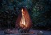 Fire pit Dewdrop L de Glowbus