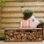 Banc avec stockage pour le bois